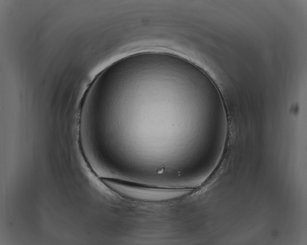 X0000091561526200708241805