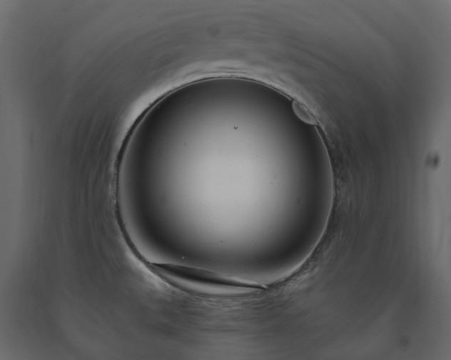 X0000091561527200708241805