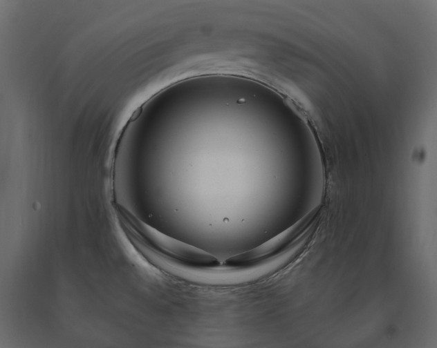 X0000091561528200708241805