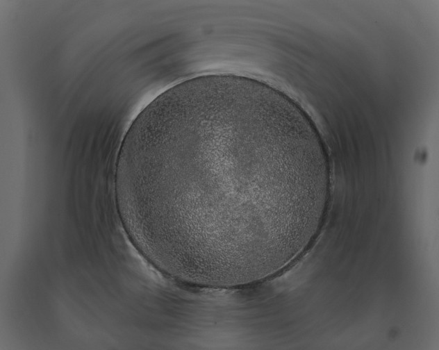 X0000091561529200708241805