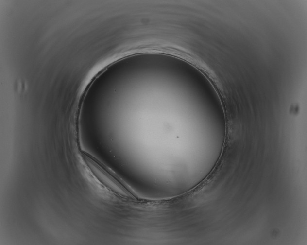 X0000091561530200708241805