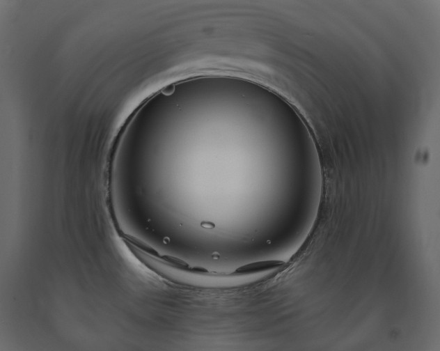 X0000091561531200708241805