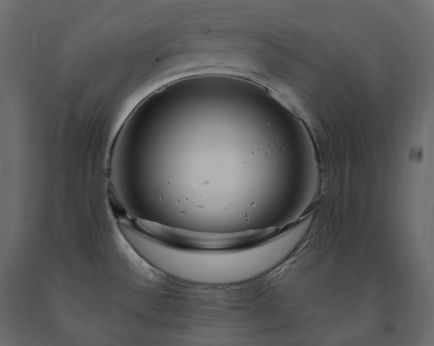 X0000091561532200708241805