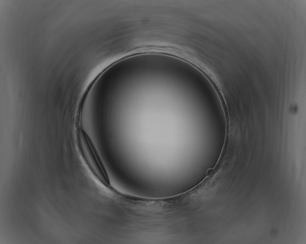 X0000091561533200708241805