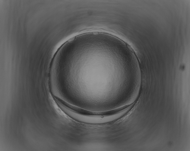 X0000091561534200708241805