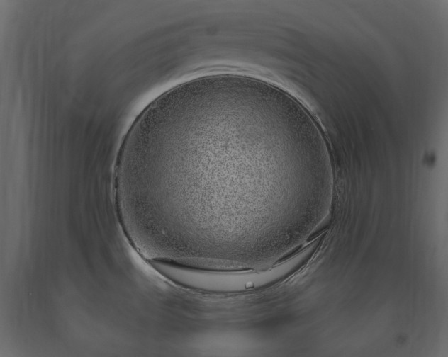 X0000091561535200708241805