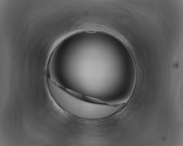 X0000091561536200708241805