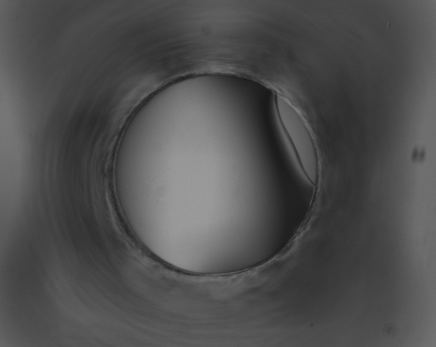 X0000091560001200708311424