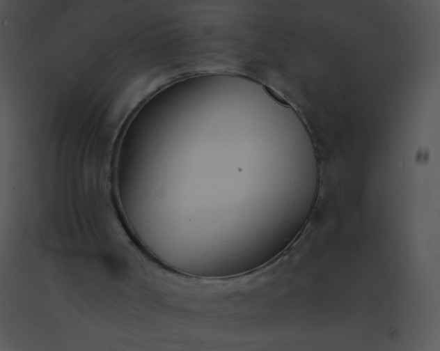 X0000091560002200708311424