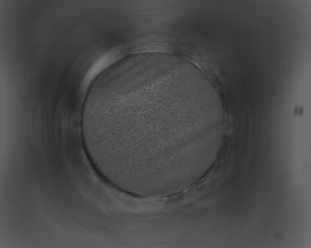 X0000091560004200708311424