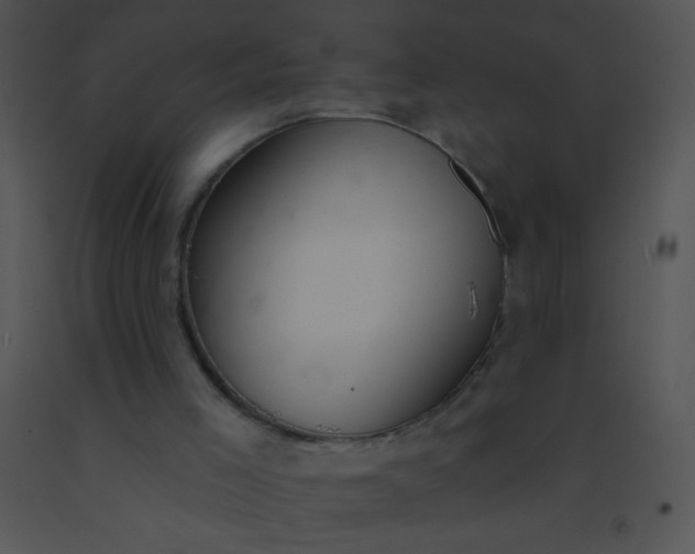 X0000091560005200708311424