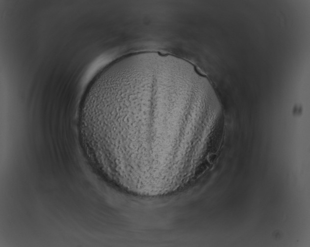 X0000091560006200708311424