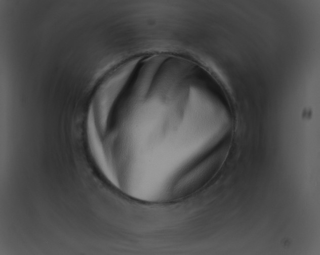 X0000091560010200708311424