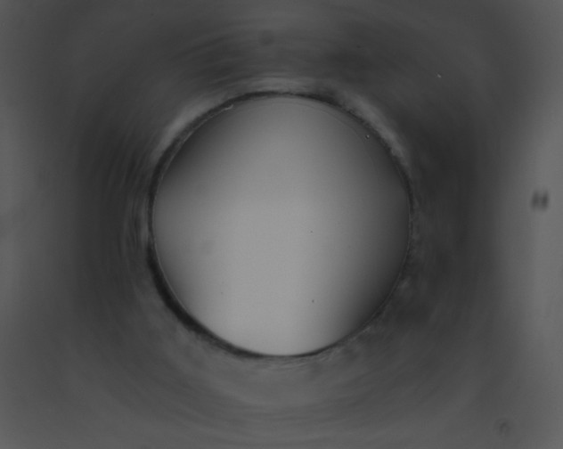 X0000091560011200708311424