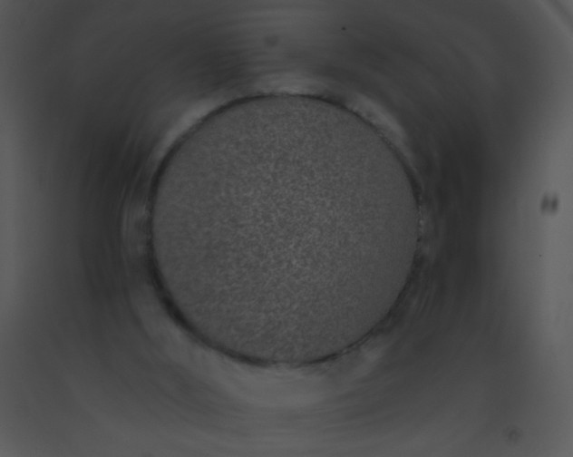 X0000091560012200708311424