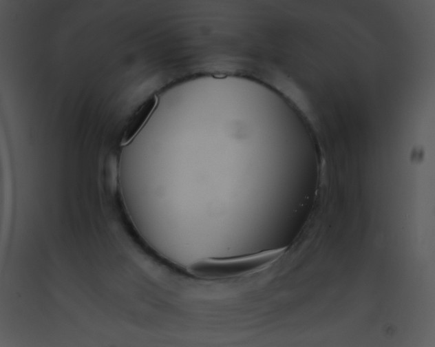 X0000091560013200708311424