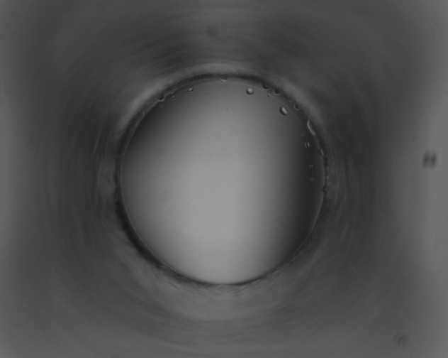 X0000091560015200708311424