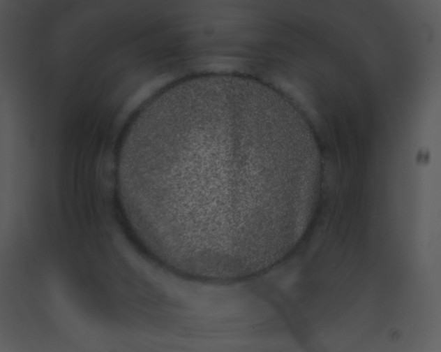 X0000091560016200708311424