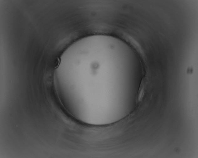 X0000091560017200708311424