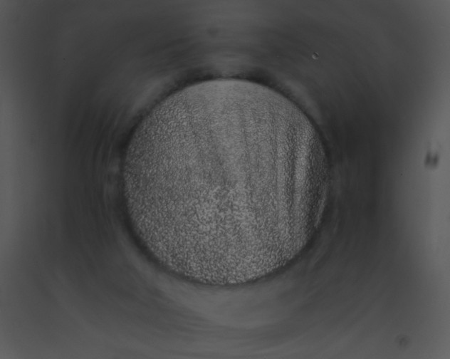 X0000091560018200708311424