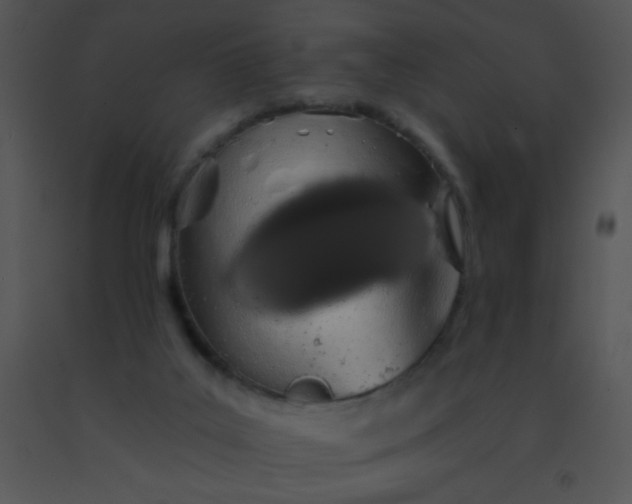 X0000091560019200708311424