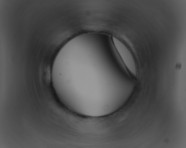 X0000091560020200708311424