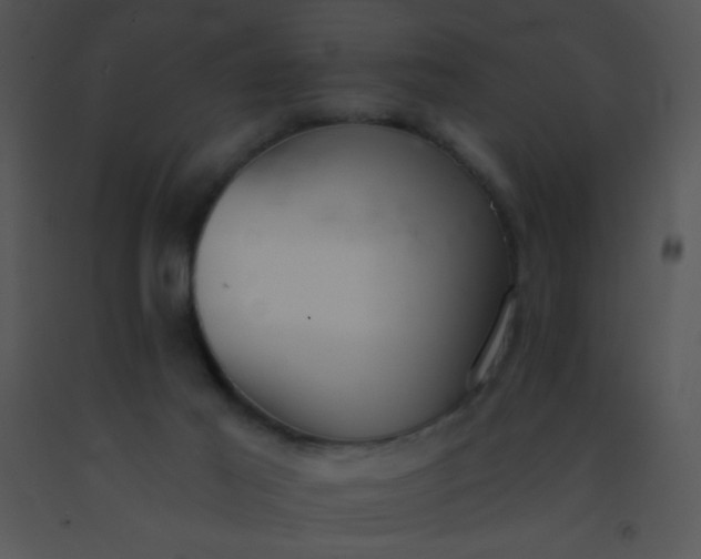 X0000091560021200708311424