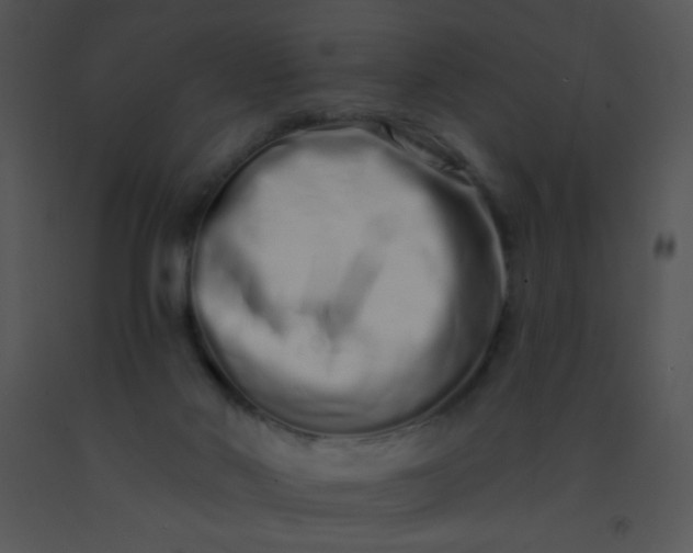 X0000091560022200708311424