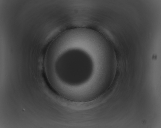 X0000091560023200708311424