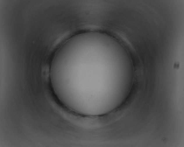 X0000091560024200708311424