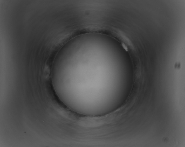 X0000091560025200708311424