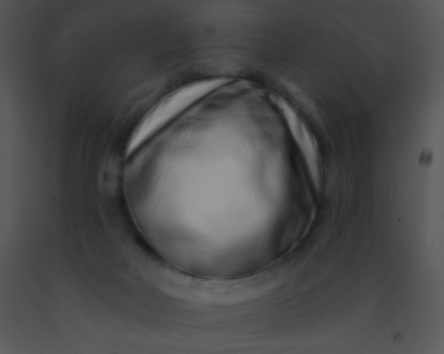 X0000091560026200708311424