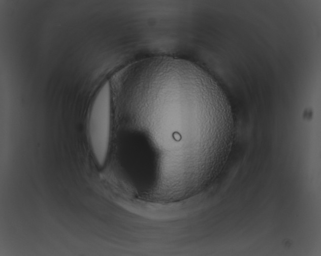 X0000091560027200708311424