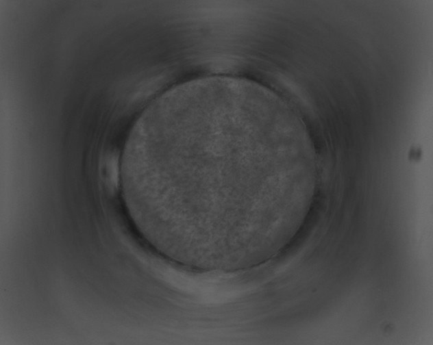 X0000091560028200708311424