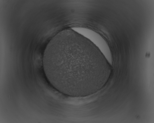 X0000091560029200708311424