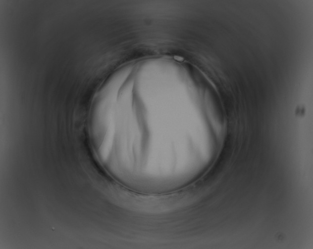 X0000091560030200708311424