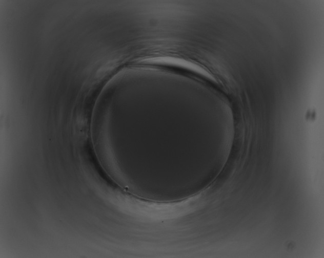 X0000091560031200708311424