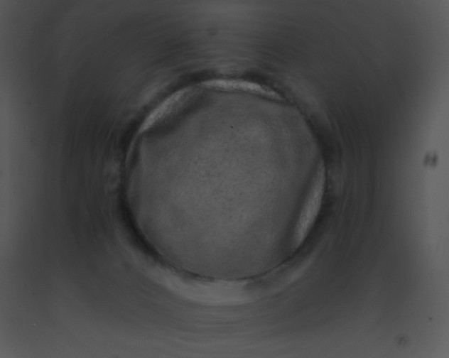 X0000091560032200708311424