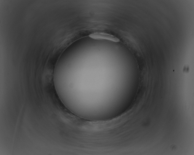 X0000091560033200708311424