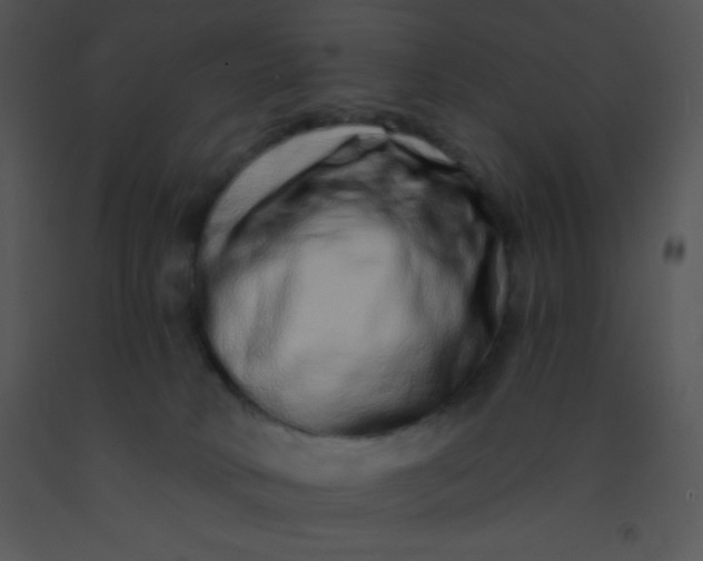 X0000091560034200708311424