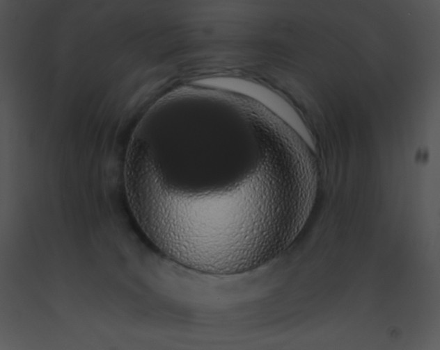 X0000091560035200708311424