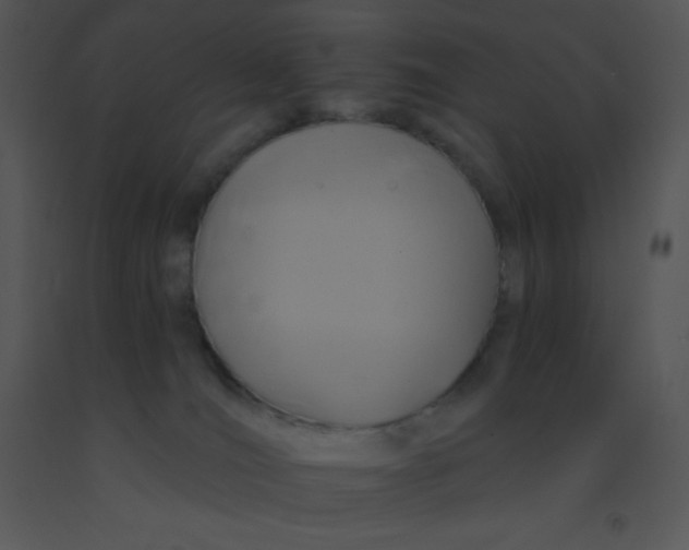 X0000091560036200708311424