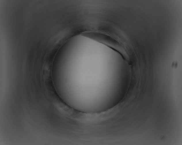 X0000091560037200708311424