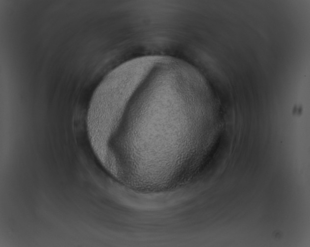 X0000091560038200708311424