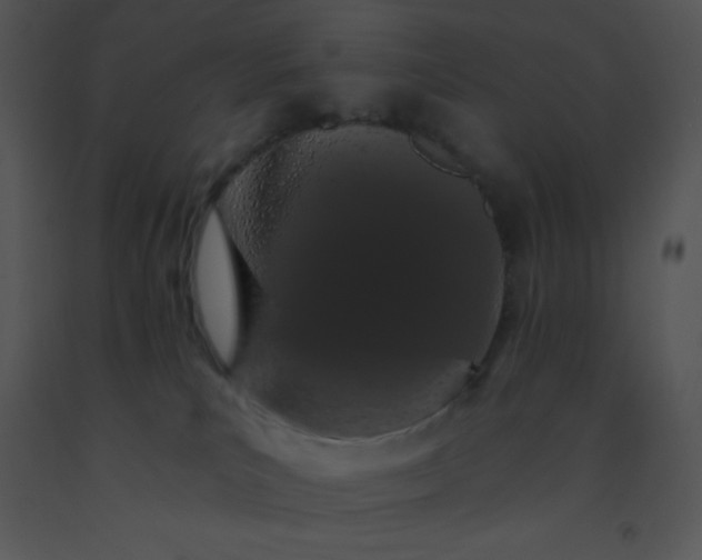 X0000091560039200708311424