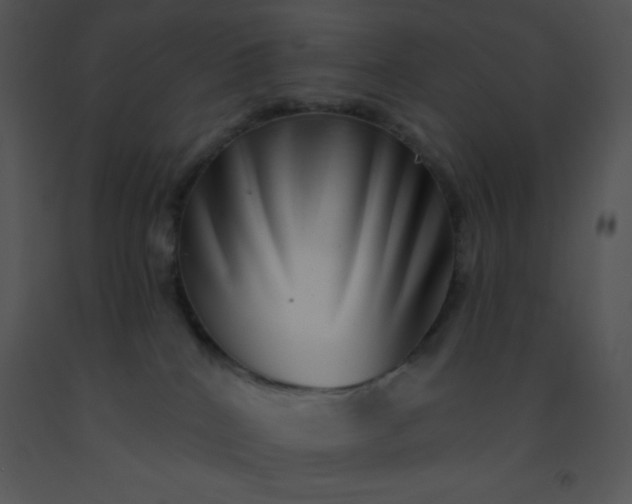 X0000091560040200708311424