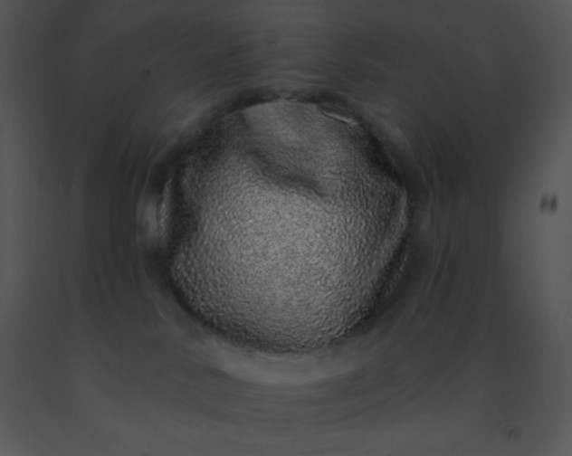 X0000091560042200708311424