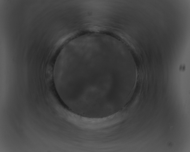 X0000091560043200708311424