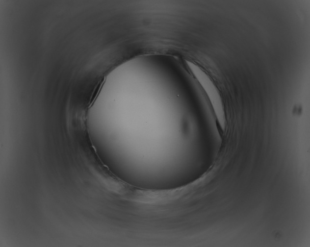 X0000091560045200708311424