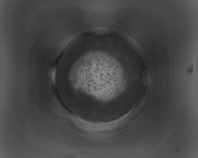 X0000091560047200708311424